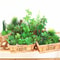 Mini Green Fake Succulent Plant Various Artificial Succulent Plants Lotus Flower Garden Arrangement 5