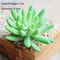 Mini Green Fake Succulent Plant Various Artificial Succulent Plants Lotus Flower Garden Arrangement 6