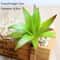 Mini Green Fake Succulent Plant Various Artificial Succulent Plants Lotus Flower Garden Arrangement 7