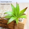 Mini Green Fake Succulent Plant Various Artificial Succulent Plants Lotus Flower Garden Arrangement 7