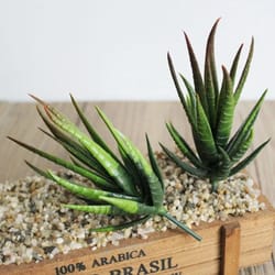 plants arrangement, artificial succulent garden, bedroom office decoration