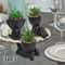 Aloe Vera Succulent Pot Plant, Cartoon Design Artificial Succulent with Black PE Material for Home Decor