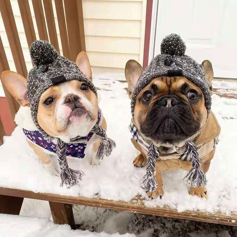 Fluffy Ball Winter Warm Dog Hat, Windproof Knitting for French Bulldog and Chihuahua Puppies