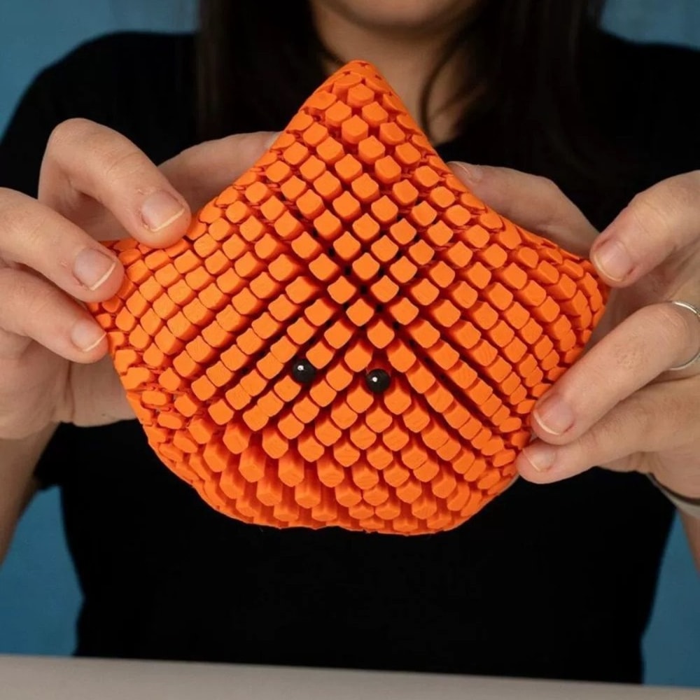 Starfish Stress Relief Toy, Printed Articulated Visual Gift for Kids, Adults