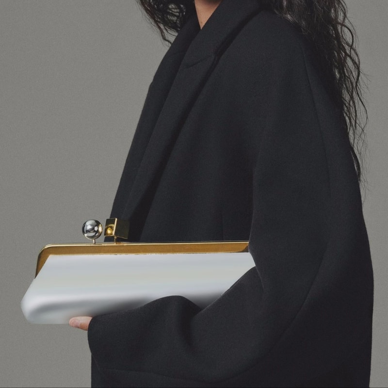 Luxury Designer Clip Handbag Purses for Ladies, Women's Fashionable Baguette Bag, Bag with Removable Shoulder Strap