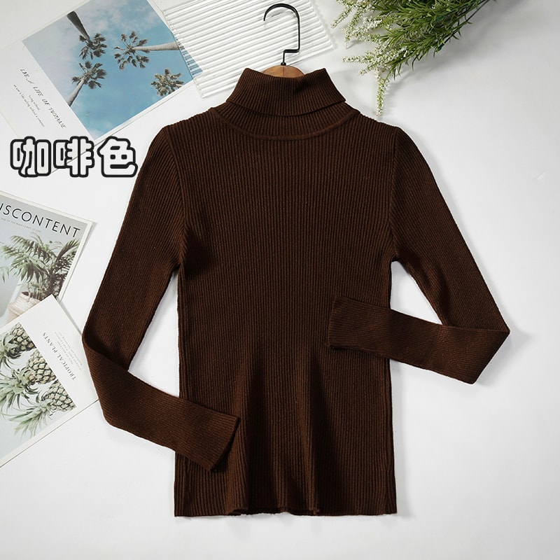 Casual Women Turtleneck Sweater Winter Fashion Pullover Knit Jumper Black Ladies Basic Solid Elastic Tops