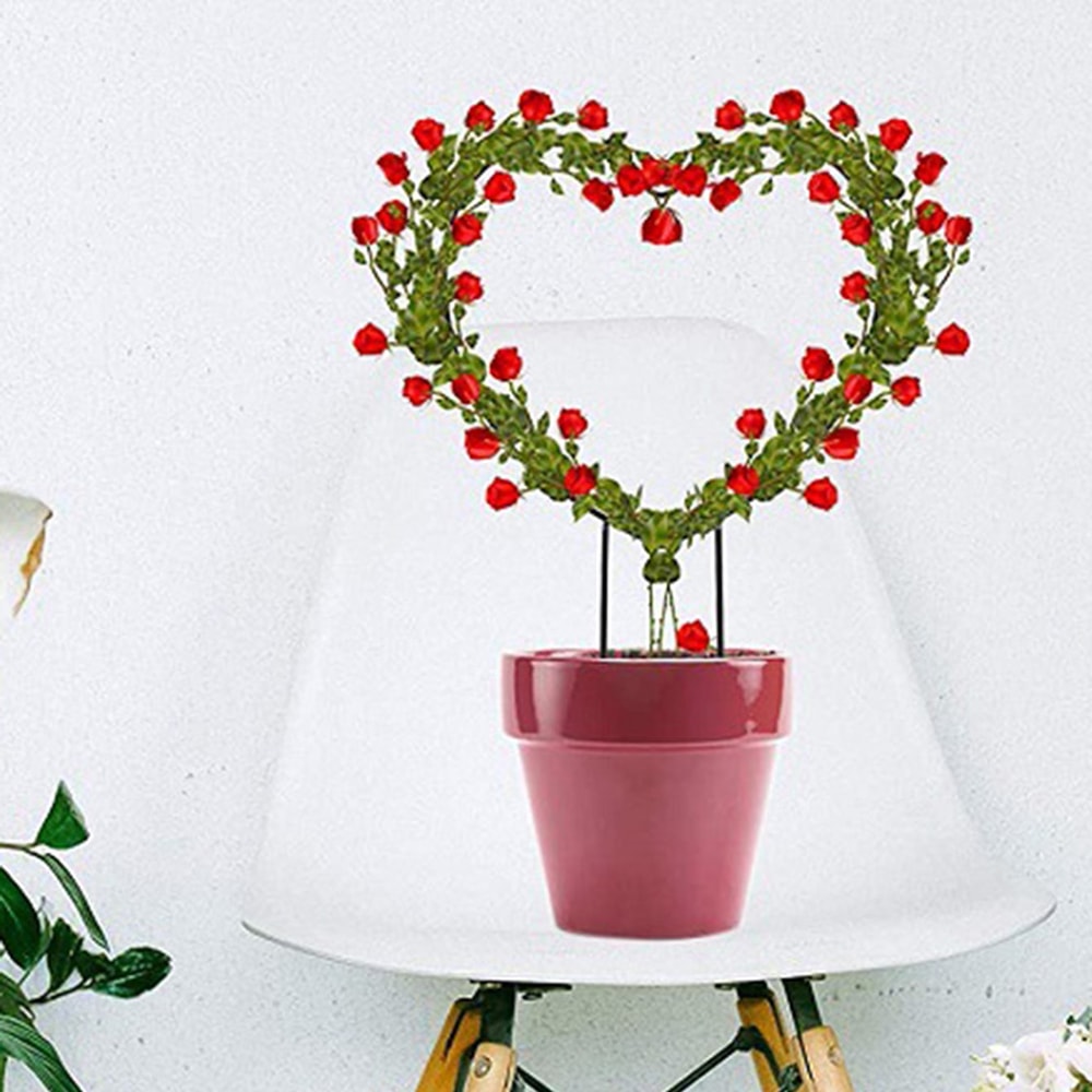 Iron Garden Trellis For Climbing Plants With Black Rust Proof Coating For Indoor Flower Vine Decora 4