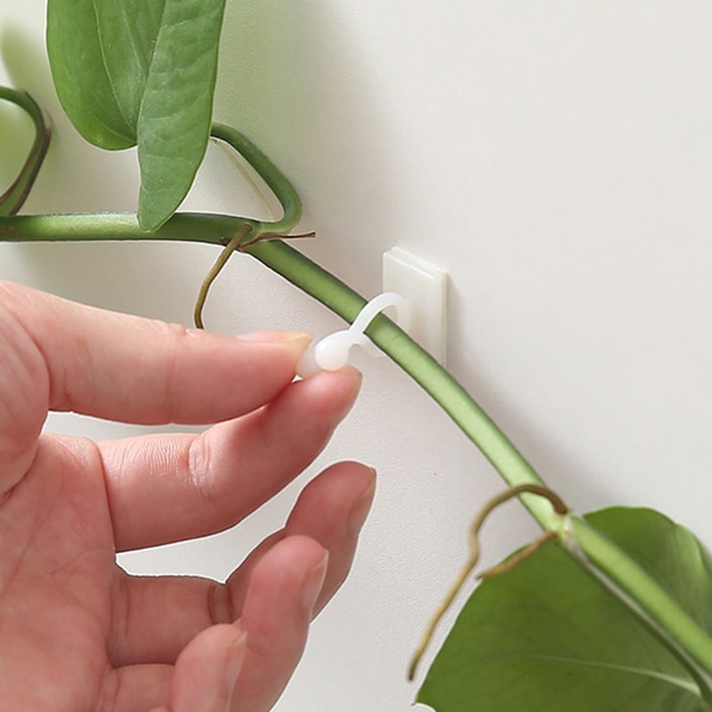 Iron Garden Trellis For Climbing Plants With Black Rust Proof Coating For Indoor Flower Vine Decora 5