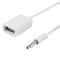 Car Audio AUX Jack to USB Adapter, Type A Female OTG Converter Cable for Auto Accessories