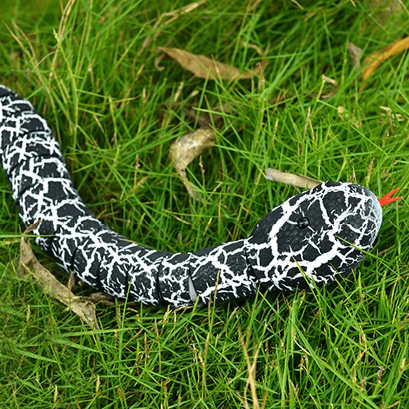 Interactive snake toy for surprise pranks