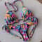 Brazilian Biquinis New Swimsuit Women Feather Print Bandage Swimwear