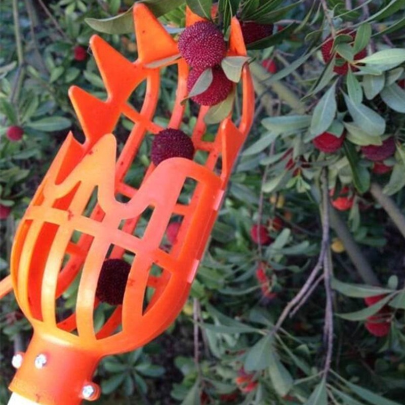 Multifunctional Garden Picking Tool, High Branch Harvest Device for Bayberry Loquat, Plum Jujube Apricot