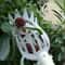 Multifunctional Garden Picking Tool, High Branch Harvest Device for Bayberry Loquat, Plum Jujube Apricot
