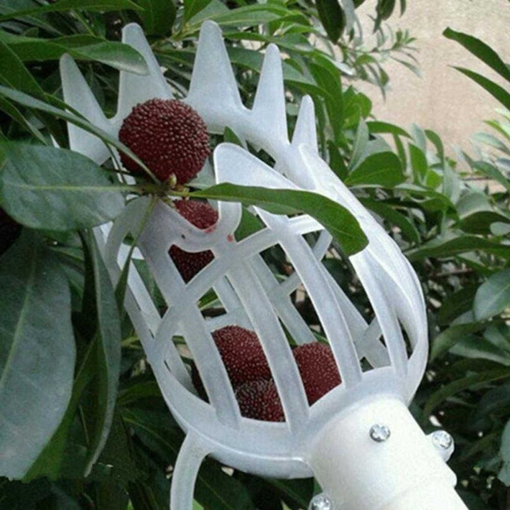Garden Hand Tools, Multi-color Plastic Fruit Picker, Fruit Picking Tool Catcher for Agrarische Bayberry Jujube Picking L