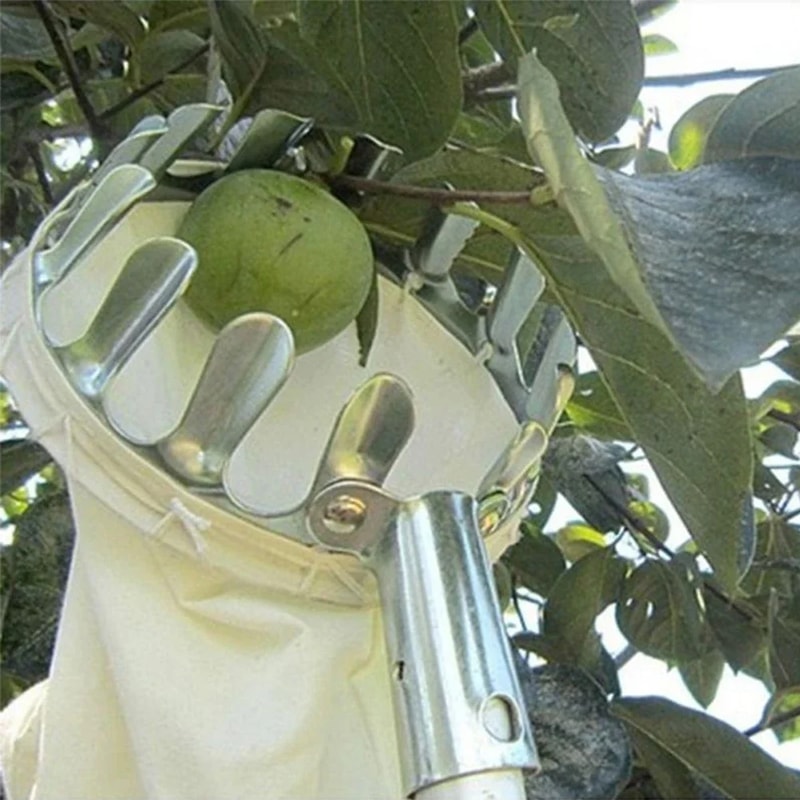 Detachable Farm Fruits Collector Orchard Apple Pears Orange High Tree Picking Tool Fruit Catcher Po 2