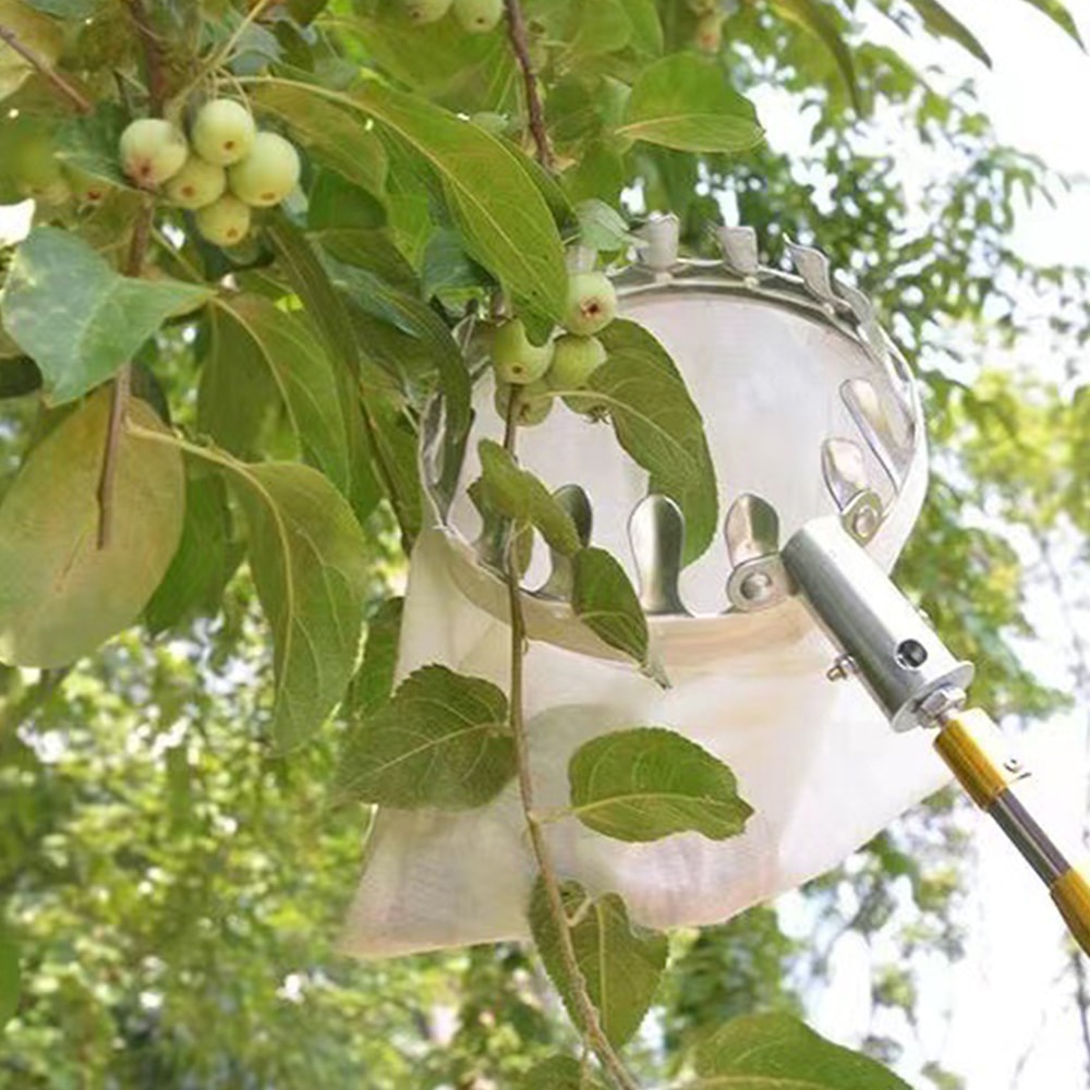 Berry Tree Collector Gardening Tool, Collect Picker for Fruits, Farm Gadgets and Garden Work Supplies