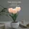 WhitePink LED Tulip Night Light Dormitory Bedroom Bedside Ambient Light Sleep Light 1
