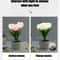 Simulation Flower Bouquet Tulip Table Lamp LED Bedside Lamp Romantic Bedroom Home Decoration 4
