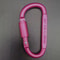 Aluminium Alloy with Lock Safety, High Quality Multi Colors Sports Keychain, D-shape Carabiner Outdoor Tool