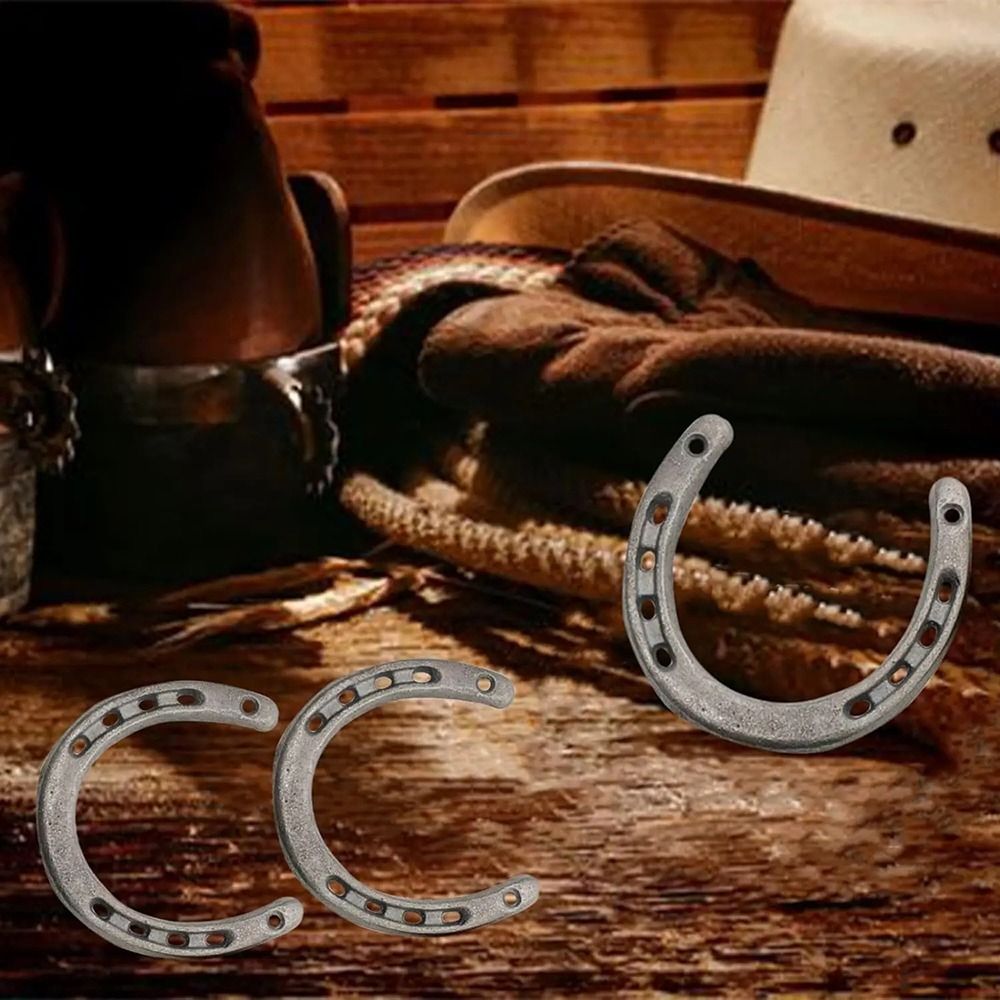 Unique Design Cast Iron Horseshoe Wall Sculpture, Vintage Metal Home Ornament Hanging