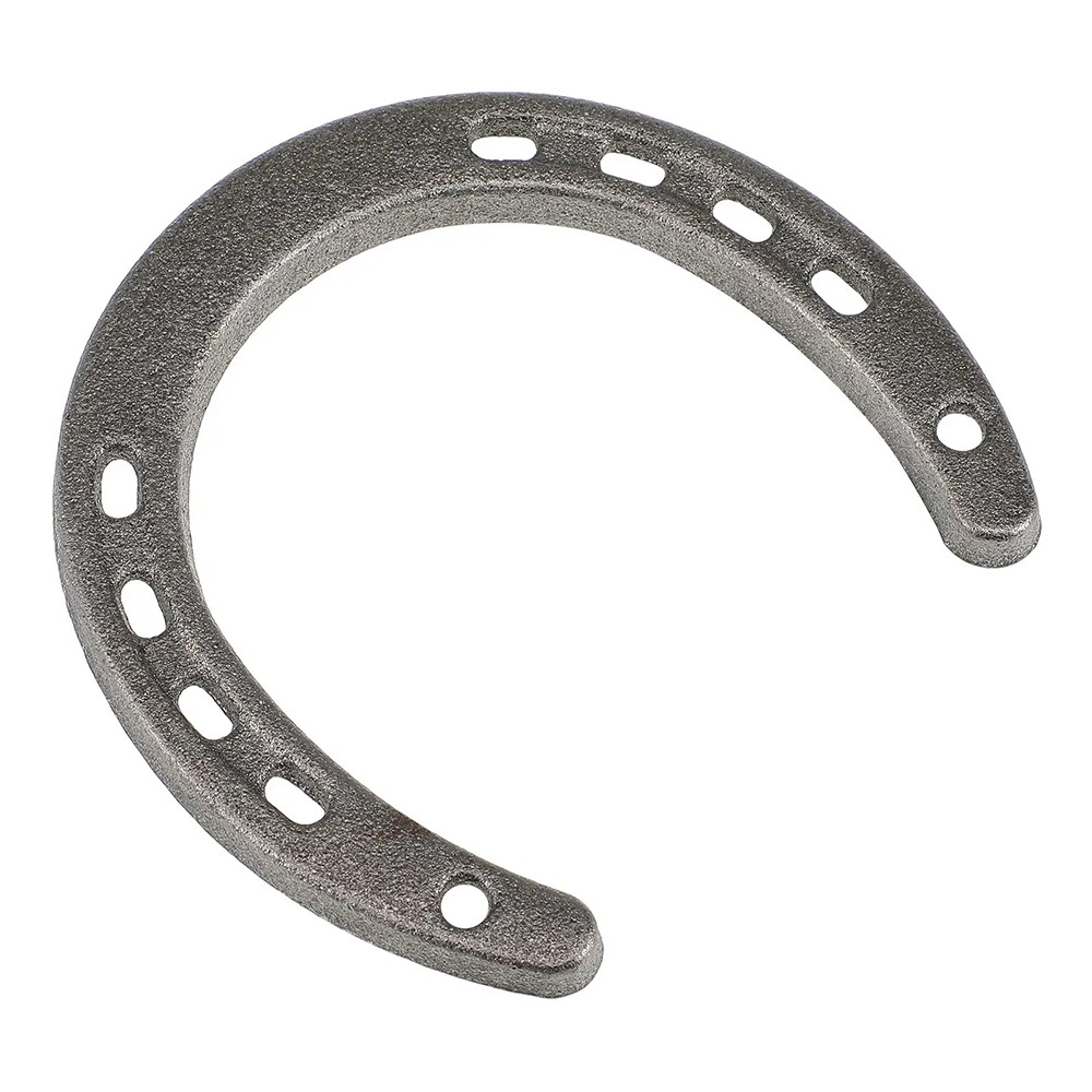 Unique Design Cast Iron Horseshoe Wall Sculpture, Vintage Metal Home Ornament Hanging