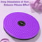 Multifunctional Waist Training Turntable, Portable Aerobic Exercise for Beautiful Legs and Waist Twisting Massage