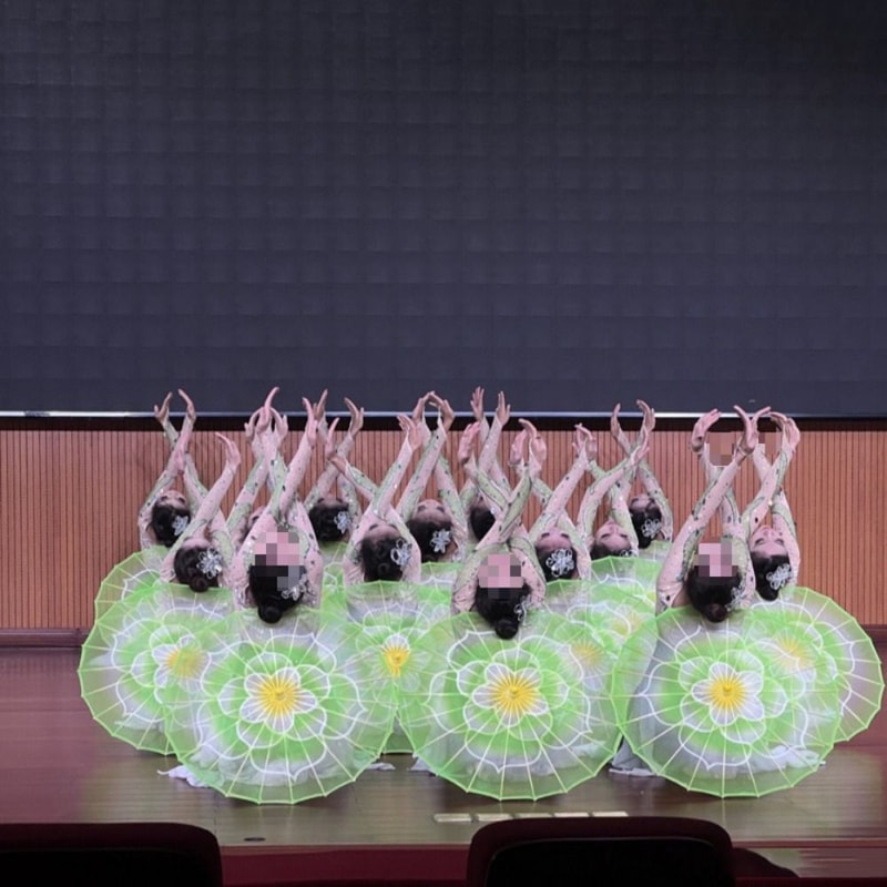 Jasmine Blossom Antique Style Oiled Paper Umbrella Dance Prop Photography Umbrella Beautiful Colors 1