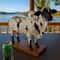 Bull Liquor Dispensers Ornaments, Nelore Bull Liquor Dispensers, Unique Bar Decor Gift