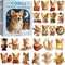 orgi Theme Christmas, Advent Calendar Blind Box, Corgi Advent Calendar