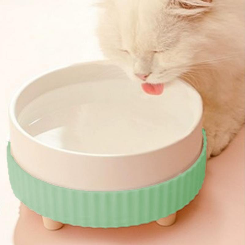 Rechargeable Pet Water Heating Bowl Heated Cat Bowl Detachable Ceramic 1