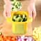 Kitchen Tools Vegetable Chopper, Multifunctional French Fries Cutter, Hand Pressure Onion Dicer