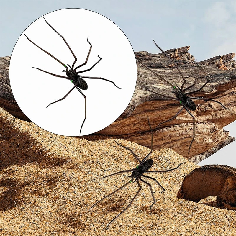 Spider Magnet Home Decor Accessories, Fun Novelty Magnetic Fridge Decor