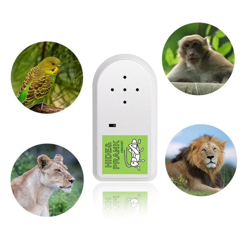 Portable Cricket Sound Generator Compact Design For Realistic Pranks And Annoying Party Noise 3