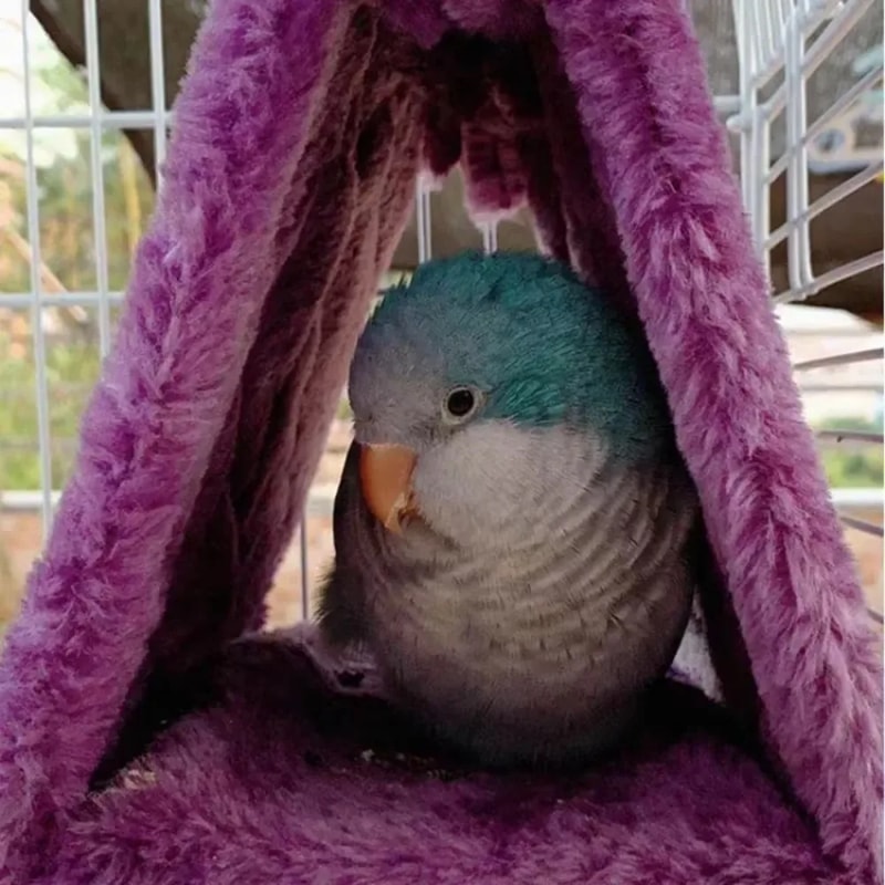 Hanging Cave For Sleeping And Hatching Cage Decoration Pet Bird Parrot Cages Warm Hammock 2