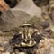 Mini Desktop Ornament Vintage Brass Fisherman On Bridge For Home Office Decoration 4