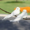 Vintage White Peace Dove Figurines, Simulation Bird for Home Table, Garden Decor Gift