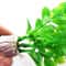 Artificial Aquatic Plants, Green Grass for Aquarium Landscaping Decor