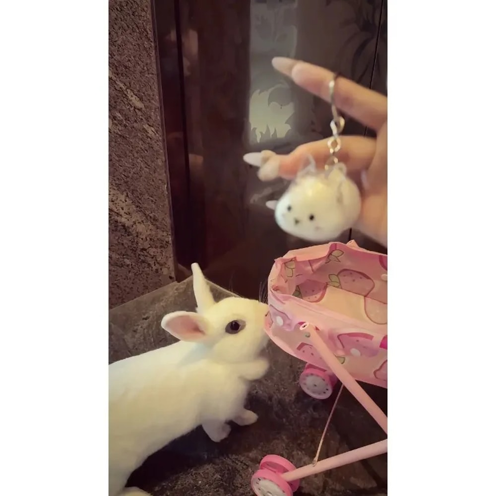 Pet Themed Souvenir Keychain, Rabbit Storage Charm, Backpack Decoration