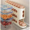 Automatic Egg Rolling Machine, Style Egg Box Storage Refrigerator Side Door