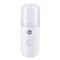 USB Humidifier Mini Facial Steamer Spray Mister Moisturizing Skincare Beauty Tool for Women