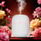 Mute Air Humidifier USB Atomizer Aroma Oil Diffuser with Night Lamp, Cool Mist Sprayer for Bedroom, Car