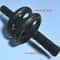Abdominal Muscle Roller, Silent Two-Wheel Design, PVC & Stainless Steel Sports Gear
