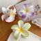 Bohemian Shark Clip Hair Claw Plumeria Flower Shape Cute Plastic Barrettes For Hair Accessories 5