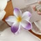 Bohemian Shark Clip Hair Claw Plumeria Flower Shape Cute Plastic Barrettes For Hair Accessories 6