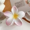 Bohemian Shark Clip Hair Claw Plumeria Flower Shape Cute Plastic Barrettes For Hair Accessories 10