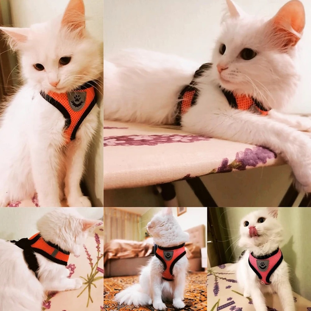Adjustable Summer Cat & Dog Harness Leash Breathable, Reflective Polyester Vest for Small Pets, Comfortable