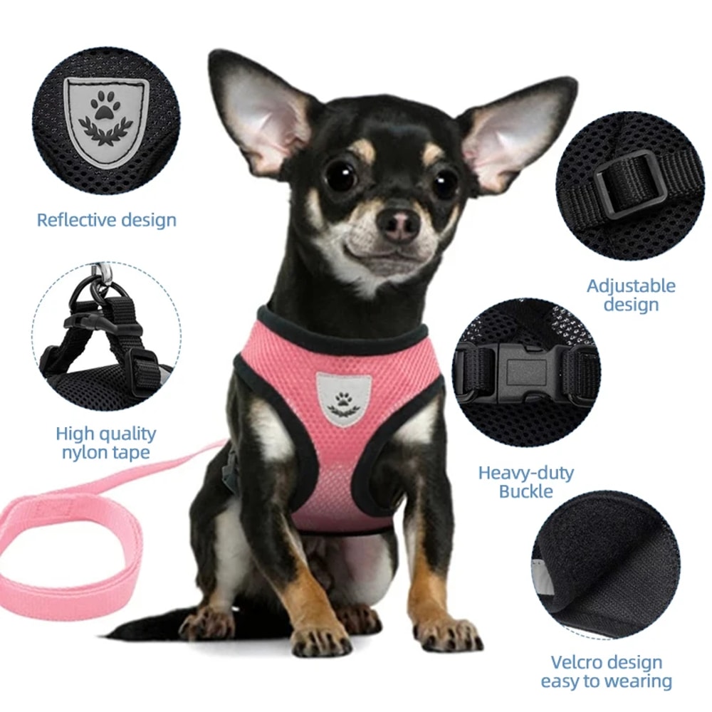 Adjustable Summer Cat & Dog Harness Leash Breathable, Reflective Polyester Vest for Small Pets, Comfortable