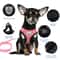 Adjustable Summer Cat & Dog Harness Leash Breathable, Reflective Polyester Vest for Small Pets, Comfortable