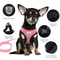 Adjustable Summer Cat & Dog Harness Leash Breathable, Reflective Polyester Vest for Small Pets, Comfortable