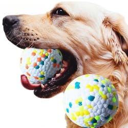 bite resistant dog chew ball toy for small & large dogs | high elasticity interactive pet toy